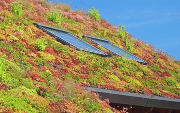 Brothybeck living roof systems